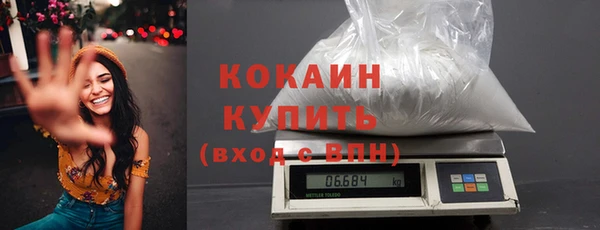 твердый Ладушкин