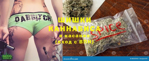 твердый Ладушкин