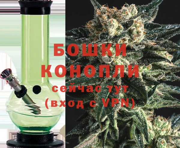 твердый Ладушкин