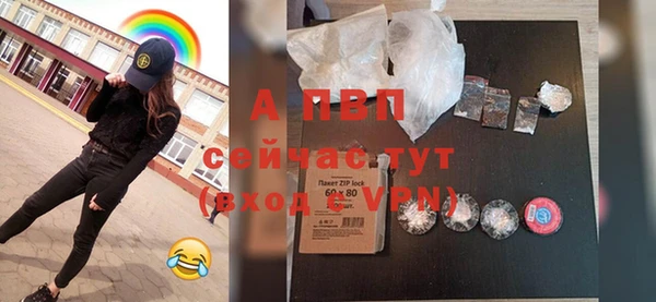 твердый Ладушкин