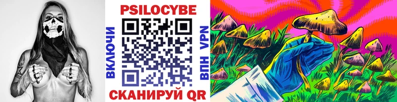 хочу наркоту  Сосновка  МЕГА ТОР  Псилоцибиновые грибы Cubensis 